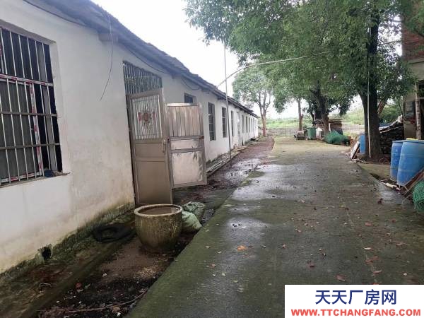 岳阳市云溪区 临港新区 集装箱码头附近小型仓库，厂房出租（无任何中介费用）