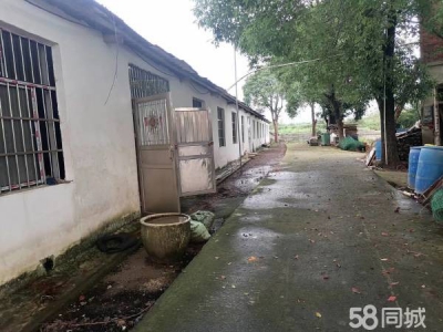 岳阳市云溪区 临港新区 集装箱码头附近小型仓库，厂房出租（无任何中介费用）图1