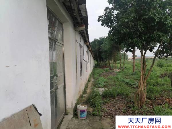 岳阳市云溪区 临港新区 集装箱码头附近小型仓库，厂房出租（无任何中介费用）