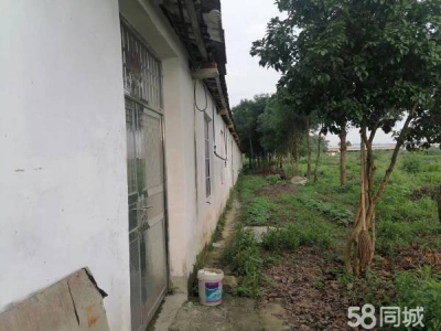岳阳市云溪区 临港新区 集装箱码头附近小型仓库，厂房出租（无任何中介费用）图2