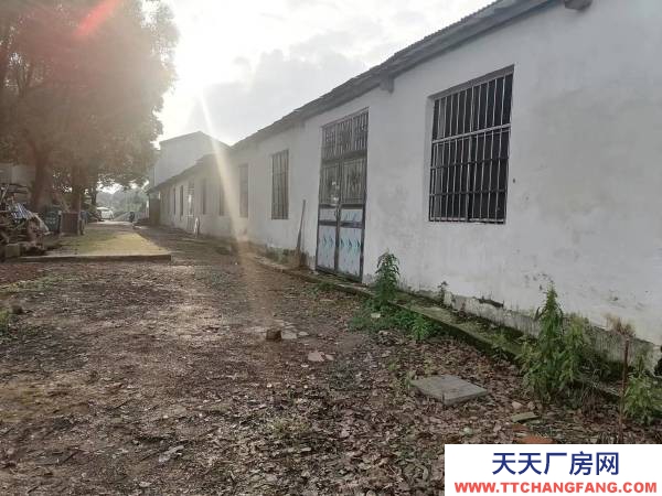 岳阳市云溪区 临港新区 集装箱码头附近小型仓库，厂房出租（无任何中介费用）