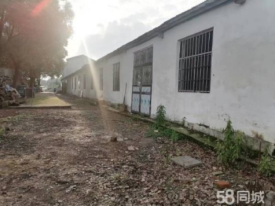 岳阳市云溪区 临港新区 集装箱码头附近小型仓库，厂房出租（无任何中介费用）图4