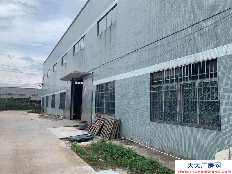 (出租) 江门鹤山市址山镇周边厂房/仓库