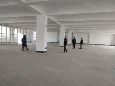 郴州市苏仙区 现有厂房，成本价租赁，政策支持可免租及补贴，无物业费层高可选图2