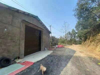 郴州市苏仙区 潘家湾附近房东自建标准厂房仓库优价出租可分租图1