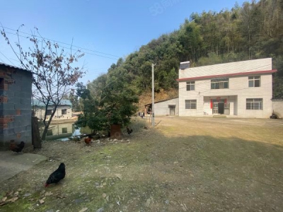 郴州市苏仙区 潘家湾附近房东自建标准厂房仓库优价出租可分租图2