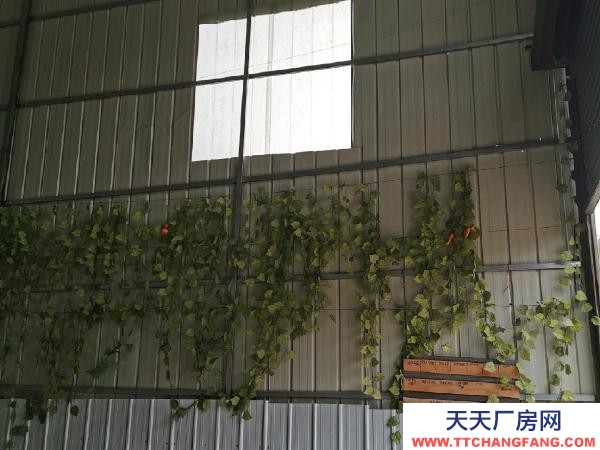 郴州市苏仙区 空间大 面积阔 交通便利
