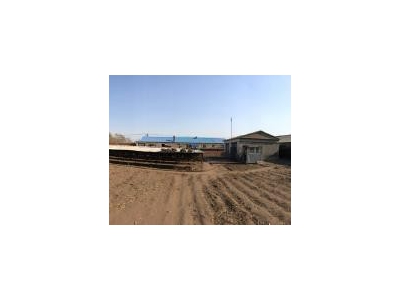 (出售) 出租出售宁江江南2000平自家农村房院 非诚勿扰图4