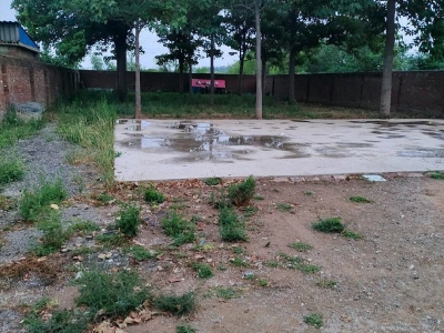 邢台 桥东区 (出租) 个人大院，水电齐全，交通便利图3