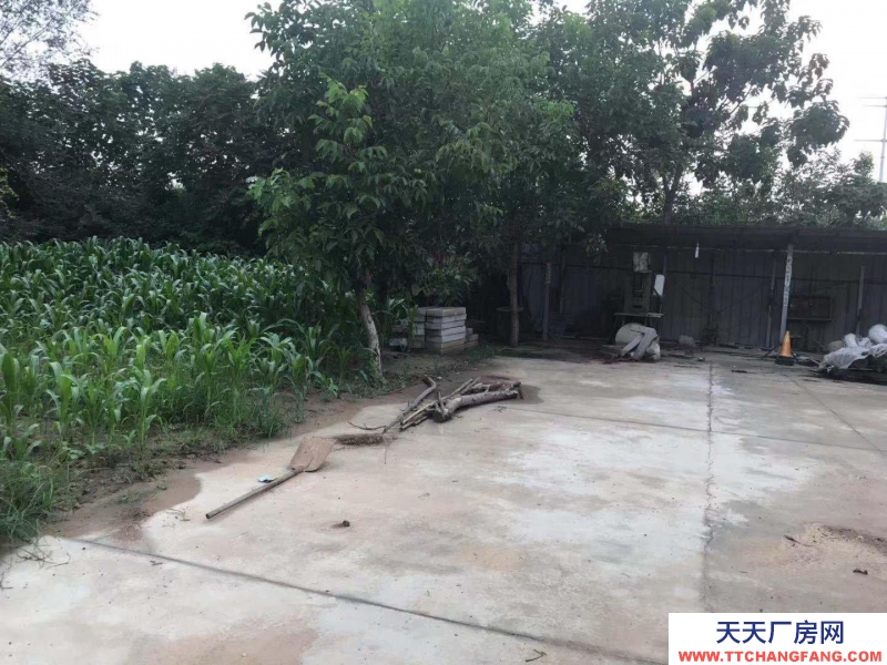 邢台 桥东区 (出租) 高开区王快镇前楼下厂房仓库出租
