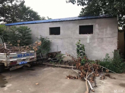 邢台 桥东区 (出租) 高开区王快镇前楼下厂房仓库出租图1