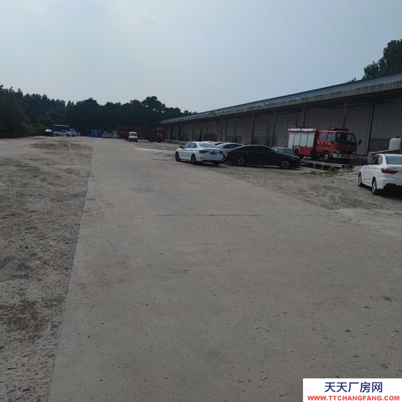 邢台 桥西区 (出租) 出租桥西邢州大道仓库场地