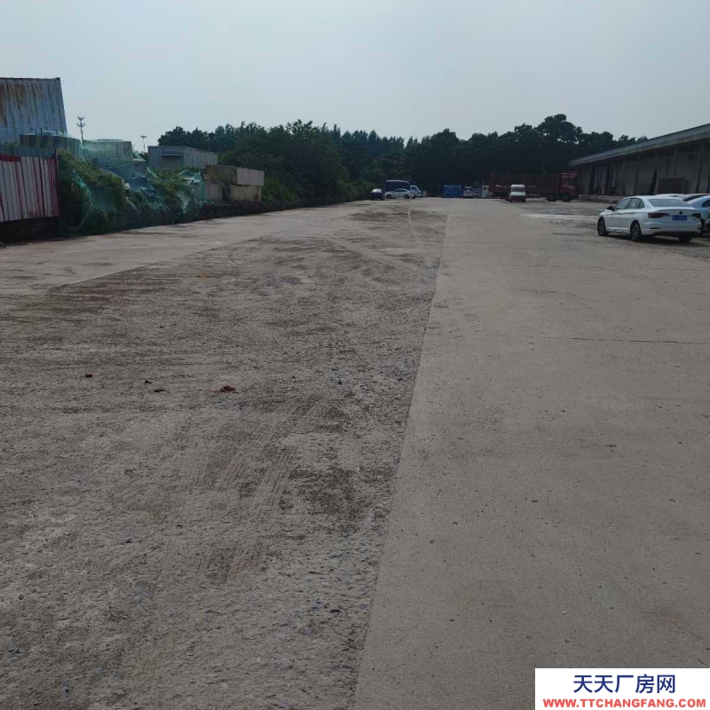 邢台 桥西区 (出租) 出租桥西邢州大道仓库场地