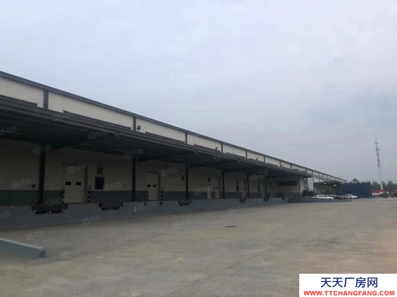(出租) 南浔区48000平大型丙二类仓库