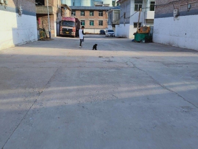 (出租) 自家独院二楼毛坯房，可根据租客需求对房屋进行装修图1