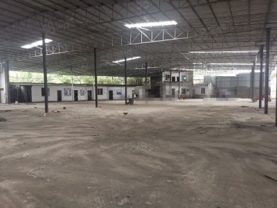 青白江带设备调味品（鸡精车间）招租图1