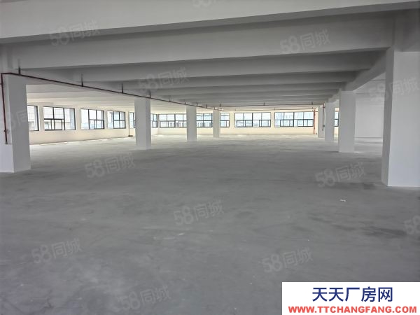 出租青白江框架厂房12000平可分租 可以做家具展厅