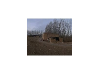 (出租)乾安 院子2万平，建筑面积500平，可养殖可做粮库。价格面议图2
