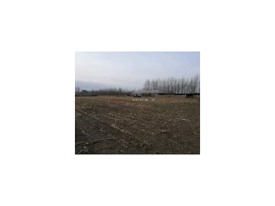 (出租)乾安 院子2万平，建筑面积500平，可养殖可做粮库。价格面议图4