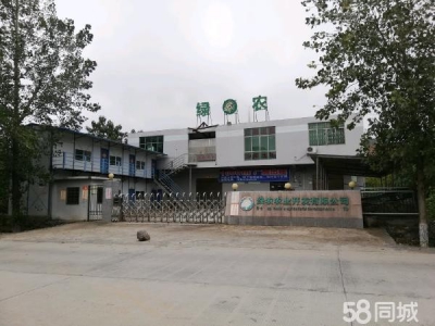 郴州市桂阳区厂房出租，还有部分食品加工设备可用图2