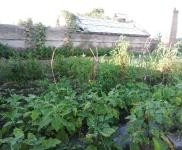 (出租)洮北新四中北民乐村(粮库后院 厂房 3000平米