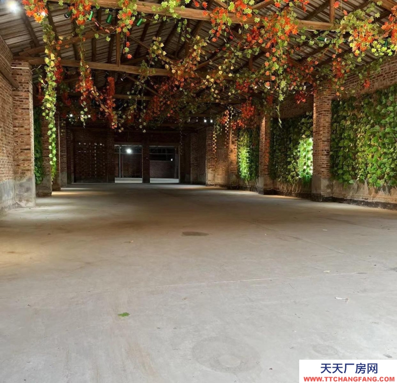 (出租) 湛江北桥路厂房 车辆可进 临近大路
