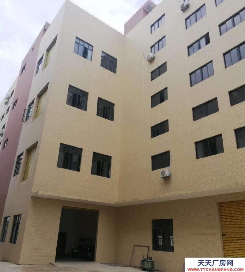 (出租) 湛江坡头城区龙头工业园厂房仓库
