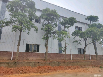 (出租) 坡头工业园4000平厂房出租可以分租图2