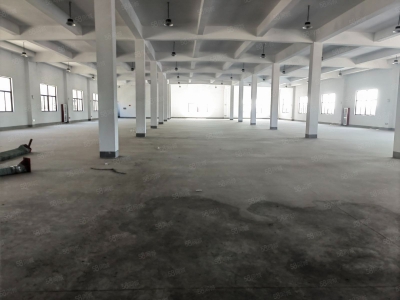 (出租) 房东直租 新建厂房 楼上楼下4420平 超大货梯图1
