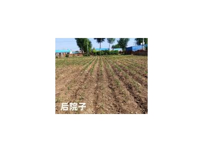 (出售) 打米厂客源稳定。三间平房拎设施齐全拎包入住。5晌地使用经营权图2