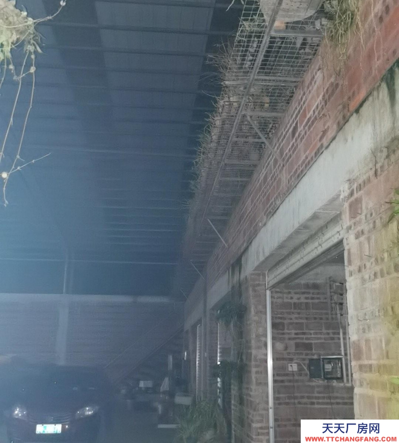 (出租) 湛江私人财产，没有产权纠纷。