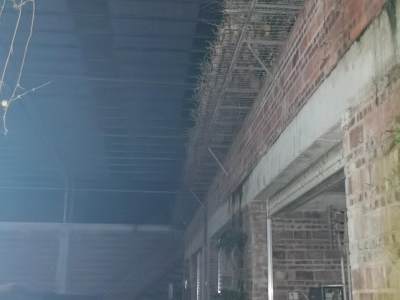 (出租) 湛江私人财产，没有产权纠纷。图1