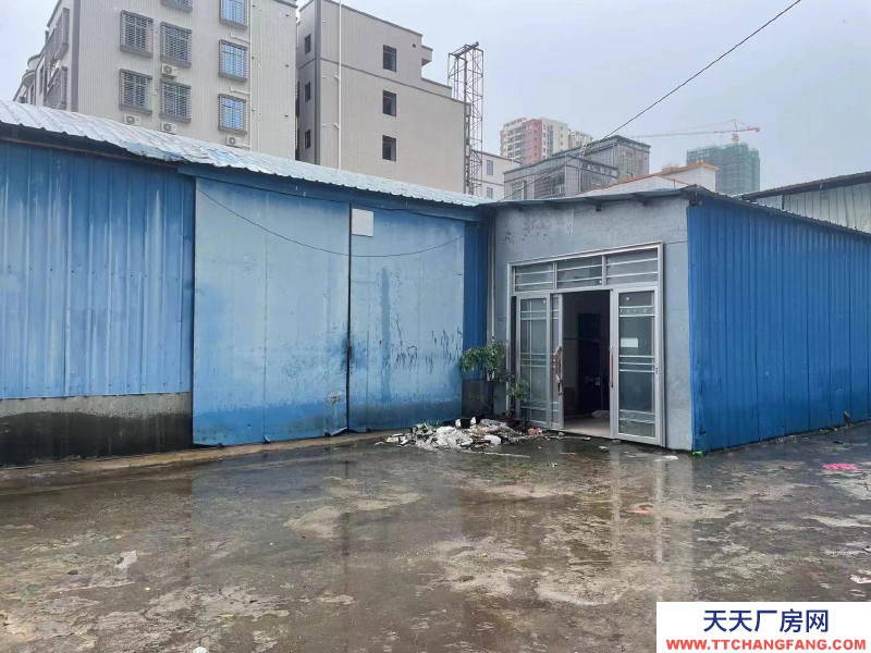 (出租) 1230平方厂房位于湛江麻章金洋路88号，可整租也可分租。