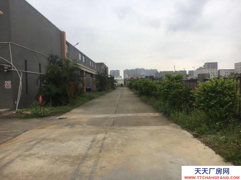 (出租) 麻章赤坎霞山2万方仓库厂房出租