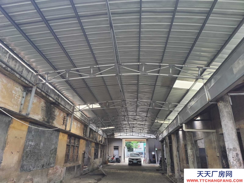 (出租) 出租麻章区麻赤路一层商铺二层办公楼及仓库，超靓地段