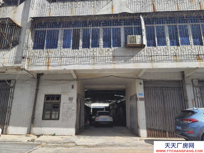 (出租) 出租麻章区麻赤路一层商铺二层办公楼及仓库，超靓地段