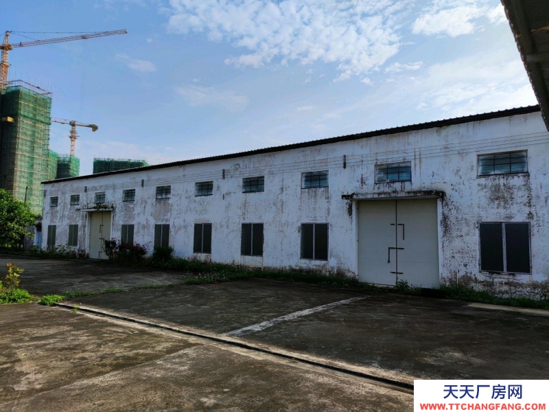 (出租) 2500多方可办公生产商业等