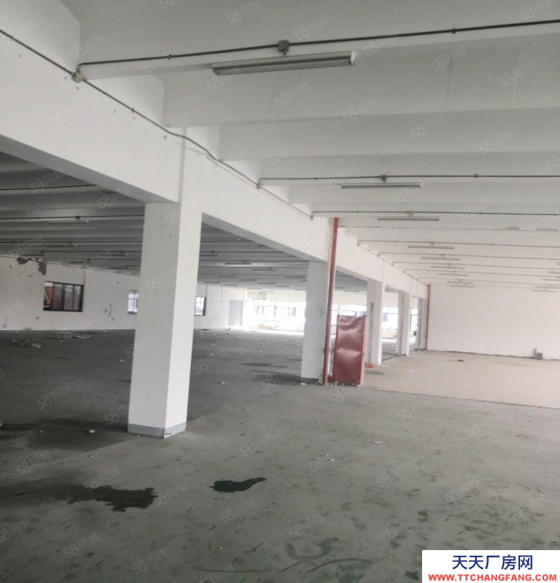 (出售) 出售长兴南高速口25亩20000方标准厂房