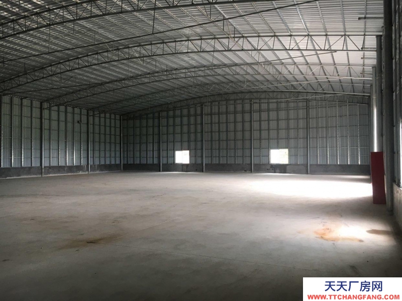 (出租) 湛江新建有土地使用证厂房，水、三相电齐全！
