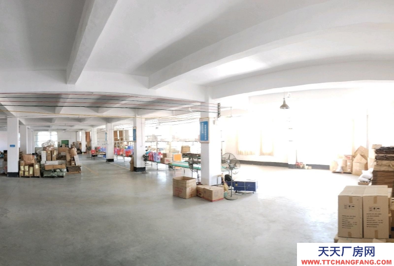 (出租) 湛江标准工业厂房工业园内