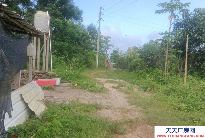 (出租) 就近有玉湛高速龙塘入口，，省道287路边，肥佬贵果园饭店对面
