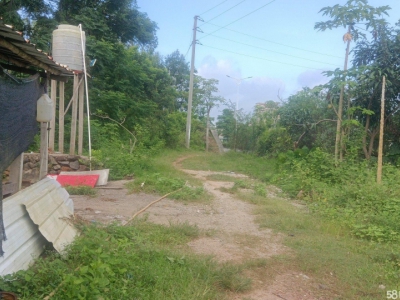 (出租) 就近有玉湛高速龙塘入口，，省道287路边，肥佬贵果园饭店对面图2