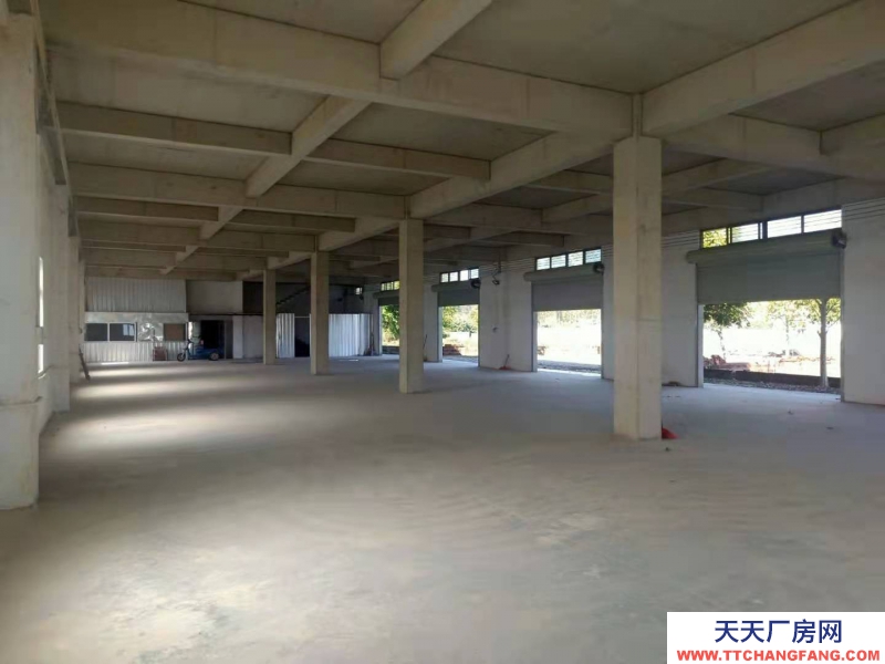 (出租) 湛江城南街道 厂房 800平米