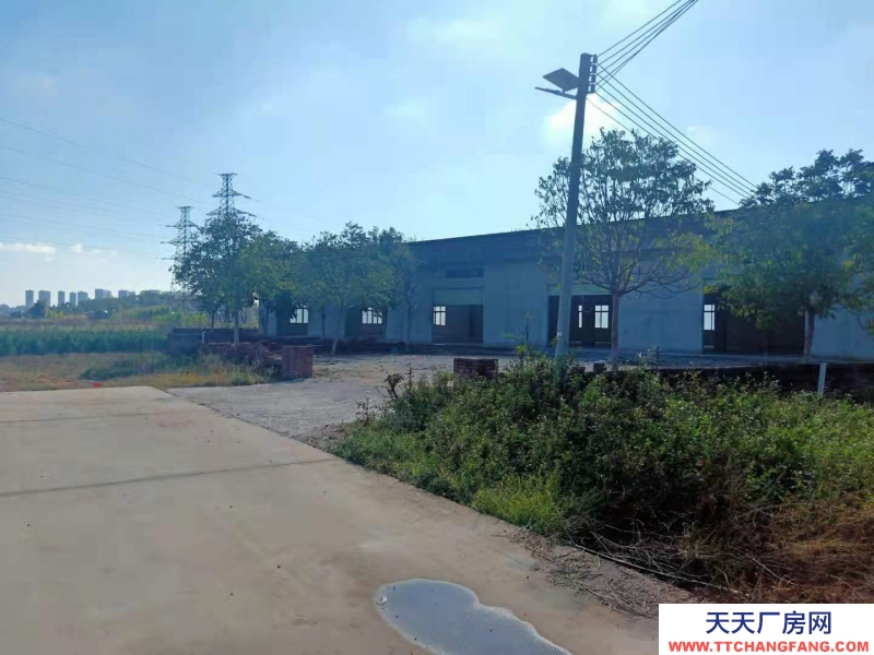 (出租) 湛江城南街道 厂房 800平米