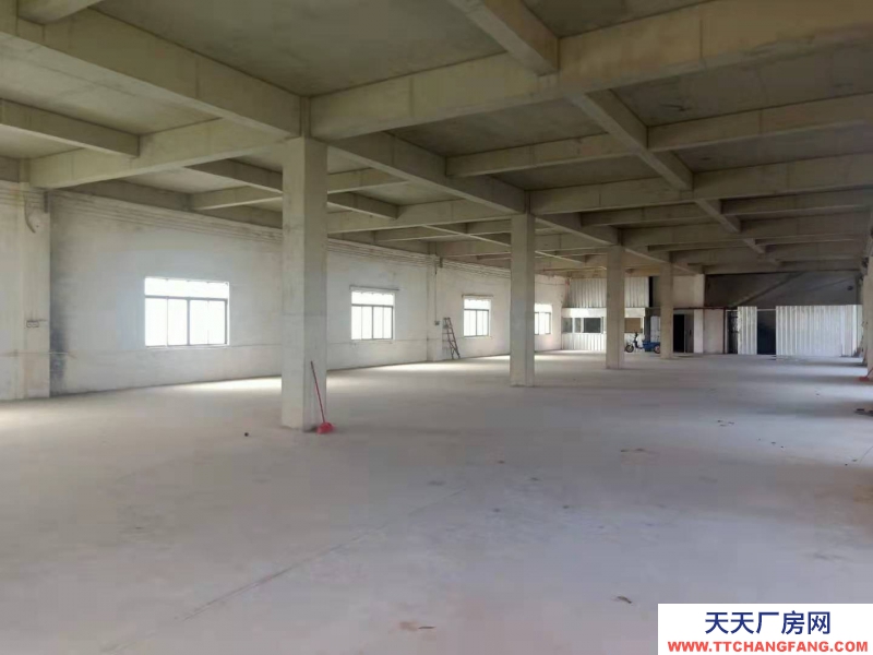 (出租) 湛江城南街道 厂房 800平米