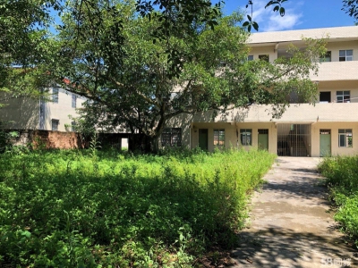 (出租) 湛江厂房、仓库、办法楼、宿舍招租图1