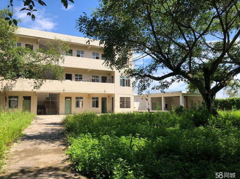 (出租) 湛江厂房、仓库、办法楼、宿舍招租图2