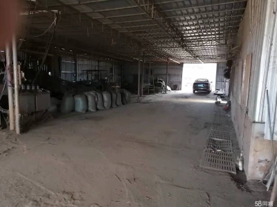 (出租) 湛江雷州工厂场地出租、转让、合作。场地占地面积16亩，仓库8亩。图2