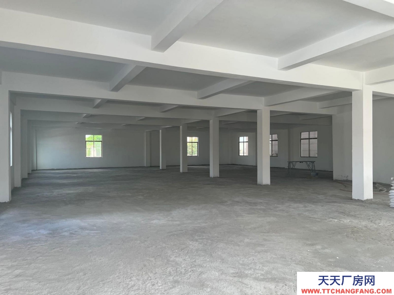 (出租) 湛江吴川吴川城区精装厂房，仓库，写字楼1500方！