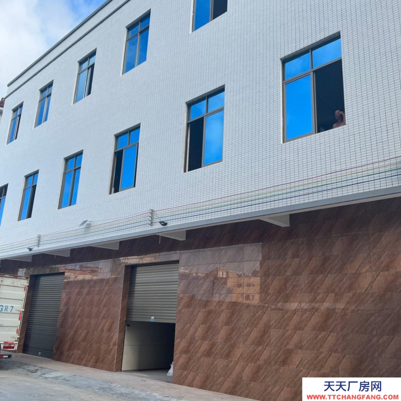 (出租) 湛江吴川吴川城区精装厂房，仓库，写字楼1500方！